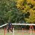 Agility - agility 2011-10-30